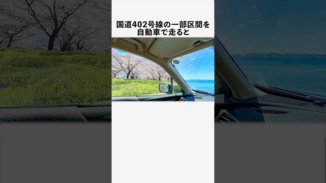 黄泉並木に関する興味深い雑学 #フィクション