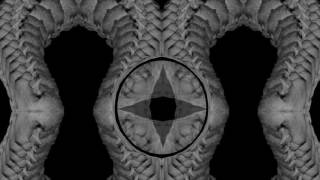 Deafheaven Please Remember