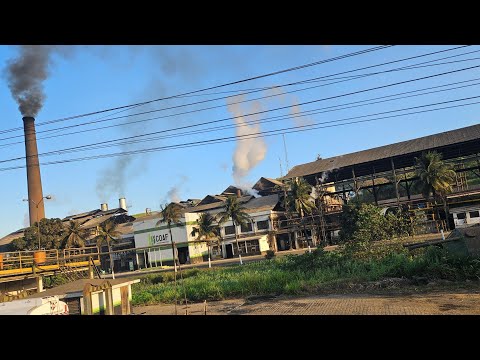  usina de cana-de-açúcar COAF Aliança PE mil funcionários vários moradores ao lado da usina 2025