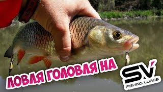 На какую блесну ловят голавля