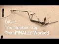 How To Set ONLY Gopher Trap That Worked For Me: DK-1  |  AnOregonCottage.com