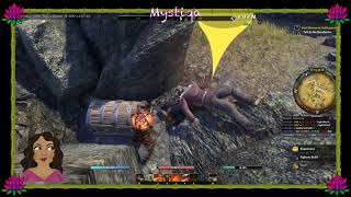 [Eng] Exploring and leveling in this beautiful game world | #BleedOrange #TeamPwnage