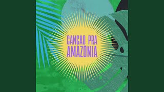 Canção Pra Amazônia Lyrics English Translation