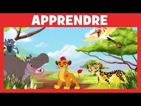 La Garde du Roi Lion : Apprendre les animaux