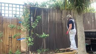 Album cover: Garden Fence Spray Painted