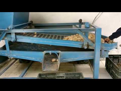 Potato Grading Machine