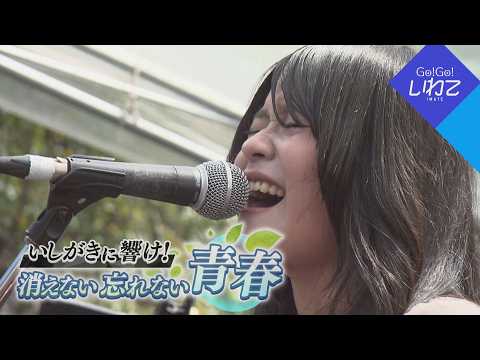 YouTube動画
