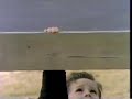 Sesame Street Reach Your Hand Up High