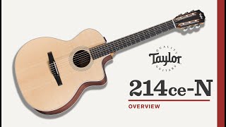 Taylor Guitars | 214ce-N | Video Overview