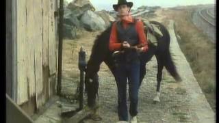 John Wayne by RDV and the Rhythm Kings