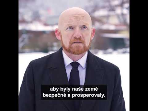 Náhled pro video reference