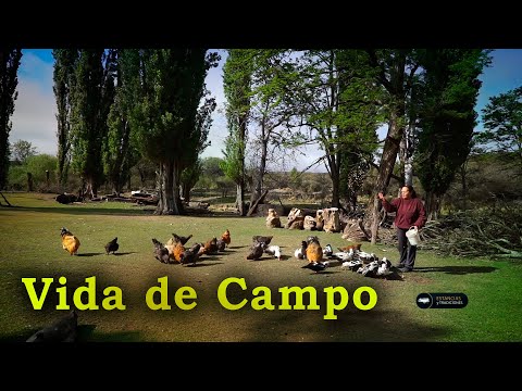 225 Establecimiento La Hierba Buena (San Luis) - Estancias y Tradiciones