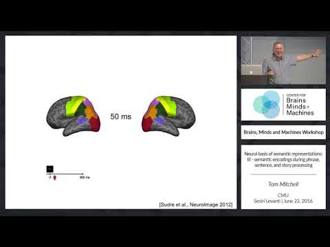 Neural Representations of Language