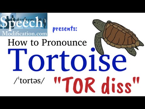 How to Pronounce Tortoise