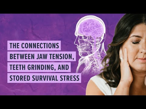 The connections between jaw tension, teeth grinding and stored survival stress. #nervoussystem