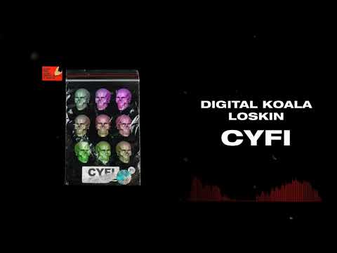 Digital Koala, Loskin - CYFI