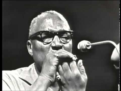 Sonny Terry & Brownie McGhee: Hooray, Hooray, These Women is Killing Me