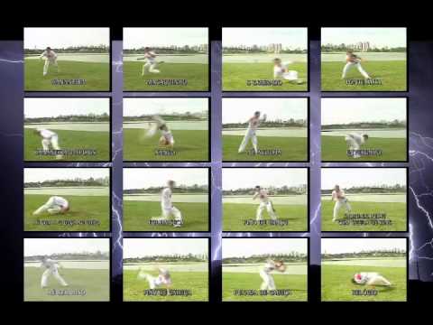 Capoeira Movements Pureraise