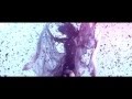 Sophie Ellis-Bextor - Bittersweet HQ 