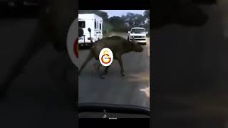 Asla vazgeçme#keşfet #keşfetbeniöneçıkar #reels #shortsvideo #güç