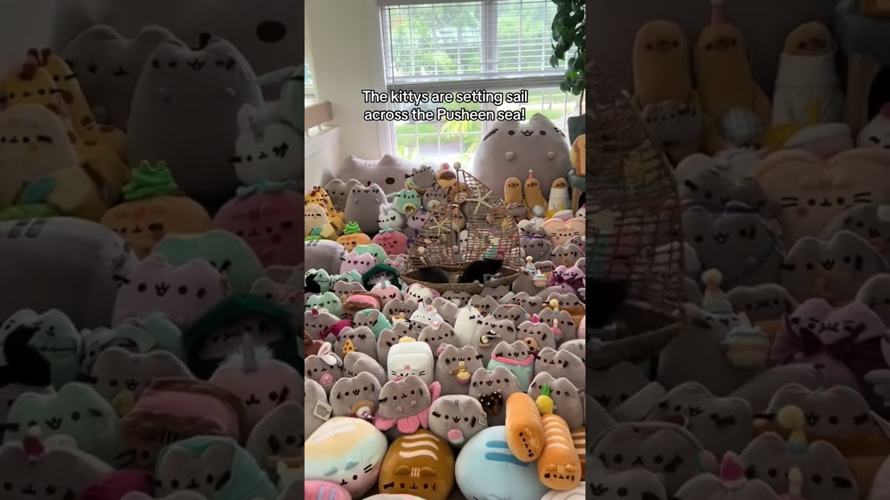 Set sail! #pusheen #plush #plushies #kitten #collection #kitty #kawaii #cute #squish #squishmallows