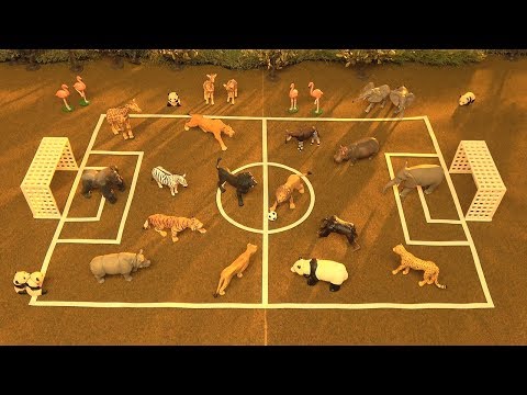 アニアクイズ　サバンナ