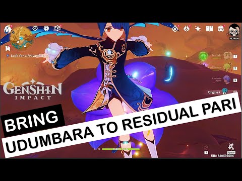 Bring the Udumbara to the residual Pari | Awaken the Residual Pari in the Fravashi Trees | Genshin