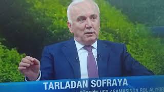 Tarım Kredi Genel Müdürden sığırcılıkta büyük devrim! Bir sığır yılda 15-20 doğu