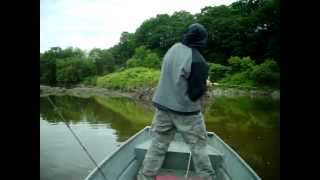 preview picture of video 'More Susquehanna River Smallmouth Fishing!'