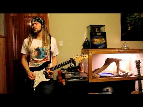 Red Hot Chili Peppers - Turn It Again - Cover by Lane Argue