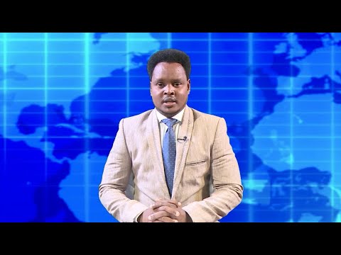 Warka Universal TV 04 01 2026