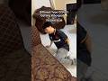 Different Type Of Kids Getting Whooped
