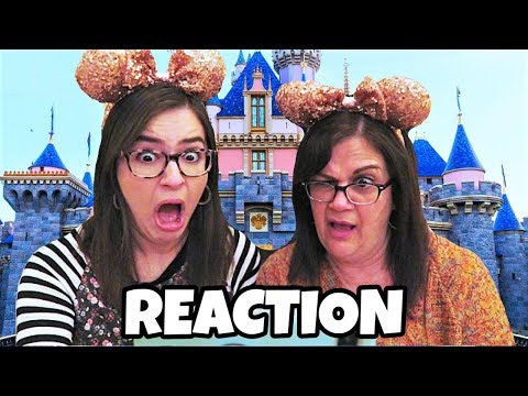 NEW Disneyland Castle REACTION Video