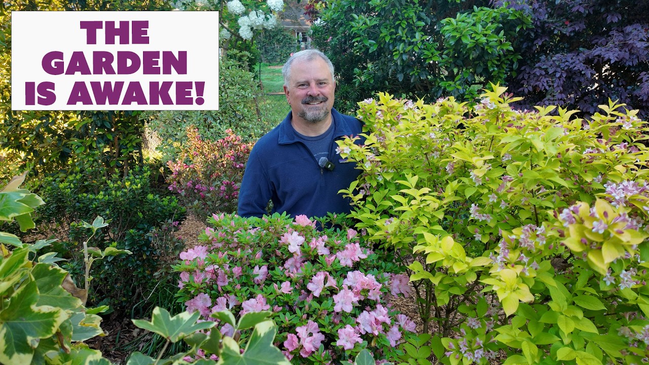 Jim's Weekly Garden Plan - So Many Flowering Plants, It's Still Cold, Birds in the Garden