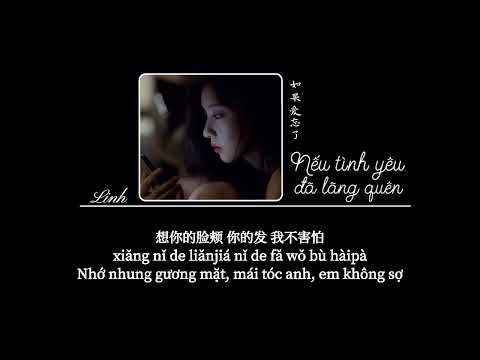 [Vietsub] Nếu tình yêu đã lãng quên • Lam Tâm Vũ♪如果爱忘了• 蓝心羽