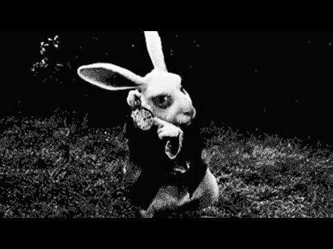 You think when you're young you have all this time? | Time Waster