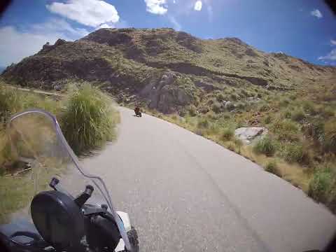 Camino a Dique Nogolí de San Luis