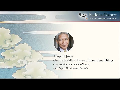 Thupten Jinpa: On the Buddha-Nature of Insentient Things