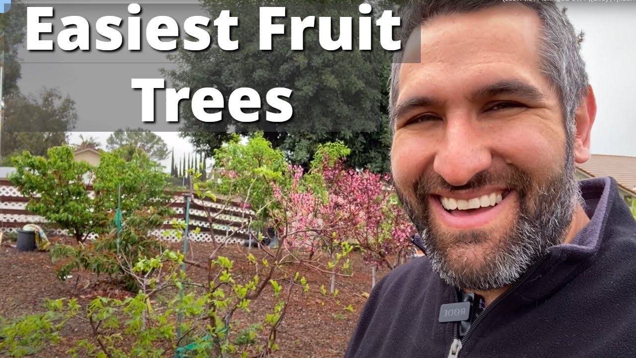 What is the easiest apple tree to grow in Michigan? Tipseri