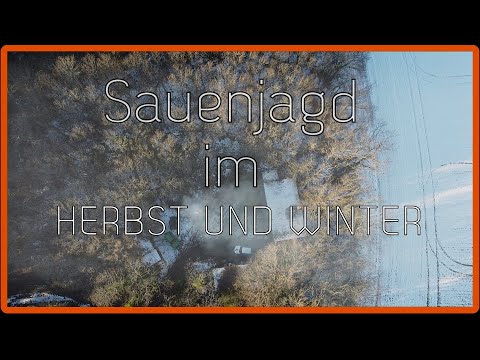 Sauenjagd im Herbst und Winter 4k #drückjagd, #jagd
