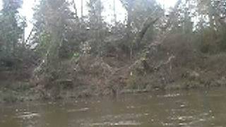 preview picture of video 'The Black Creek near Janice, Mississippi.'