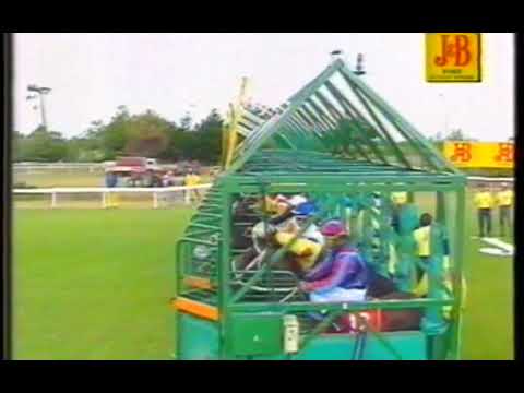 Surfing Home J&B Met