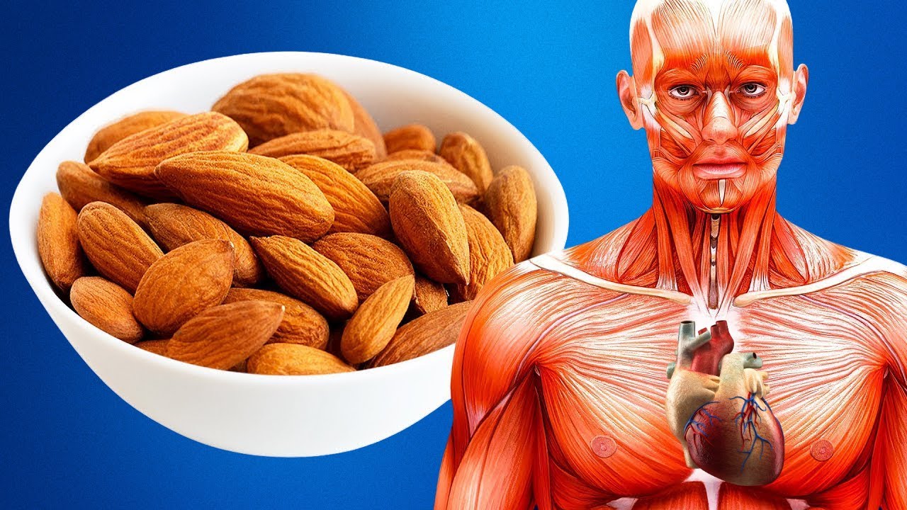 O Que Acontece se Você Comer 20 Amêndoas Todos os Dias