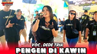 Download lagu PENGEN DI KAWIN VOC DEDE TRIA - ANDI PUTRA 3 | CULTURE PARTY PEMUDA WONG KIDUL KEBULEN JATIBARANG mp3 Download lagu PENGEN DI KAWIN VOC DEDE TRIA - ANDI PUTRA 3 | CULTURE PARTY PEMUDA WONG KIDUL KEBULEN JATIBARANG mp3