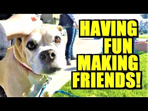 Ep267: COME THRIFT WITH US AND MAKE SOME NEW FRIENDS! - The ORIGINAL GoPro Garage Sale Vlog!