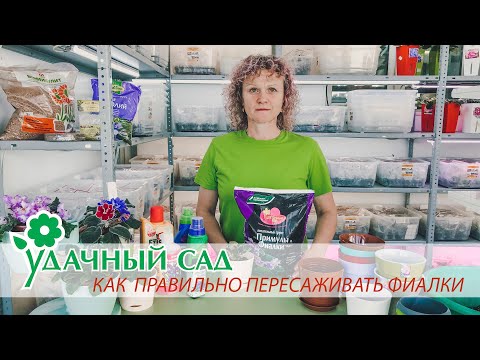 Удачный Сад Интернет Магазин Купить