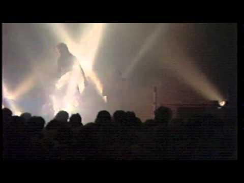 JIM FOETUS / WISEBLOOD