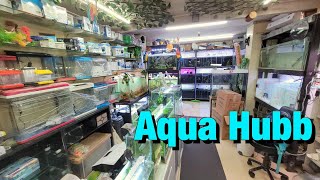 New Aquarium Fish Stock at Aqua Hubb