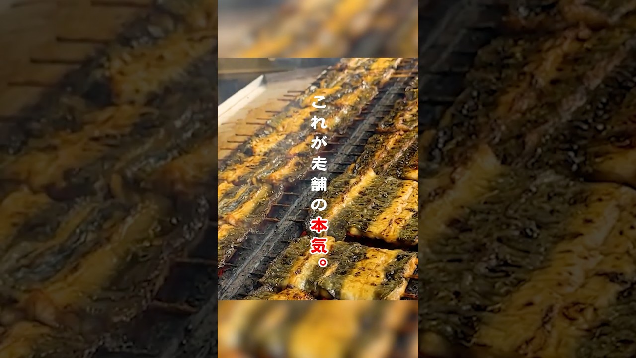 【半公式CM】これが老舗の本気。創業100年越えの絶品うなぎがヤバすぎた…