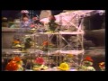 Fraggle Rock Danish